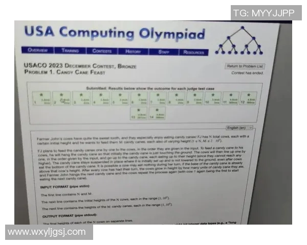 中国与美国2008年经济较量的启示与反思 中国与美国2008年经济较量的启示与反思